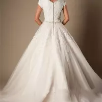 Ivory Lace Tulle Ball Gown Modest Wedding Dresses Cap Sleeves Short Sleeves Princess Bridal Gowns Beaded Belt Bridal Gowns Button Back - Thumbnail 1