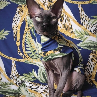 Hermesing (blue)  - sleepwear - Thumbnail 4