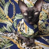 Hermesing (Blue)  - Sleepwear - Thumbnail 1