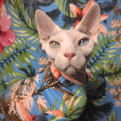 Tropics  - sleepwear - Thumbnail 4