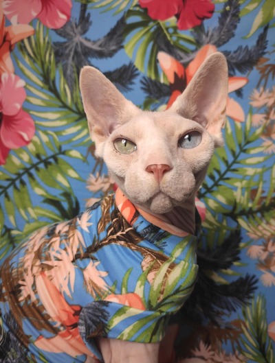 Tropics  - Sleepwear