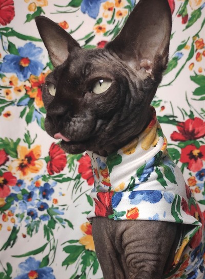 Spring-A-Ling - Sleepwear