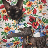 Spring-A-Ling - Sleepwear - Thumbnail 1