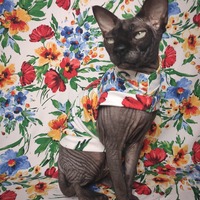 Spring-A-Ling - Sleepwear - Thumbnail 2