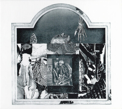 Haare 'Acid Realm' CD