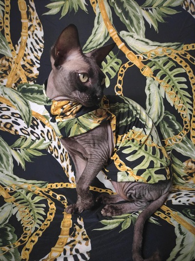 Hermesing (Black) - Sleepwear