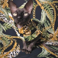 Hermesing (Black) - Sleepwear - Thumbnail 1