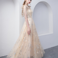 Champagne Tulle Long A-Line Prom Dress - Thumbnail 1
