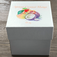 Apricot Coconut Mango Candle - Thumbnail 2