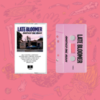 Late Bloomer "Another One Again" 12" LP (+ more) - Thumbnail 4