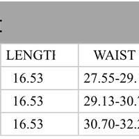 Denim Corset - Thumbnail 3