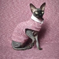 Heathers  (Burgundy) - Rolled Collar - Thumbnail 2