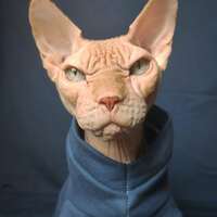 Dark Teal - Yeezus - Thumbnail 1