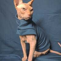 Dark Teal - Yeezus - Thumbnail 3