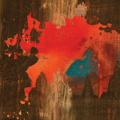 Roy Montgomery & Friends "Broken Heart Surgery" LP