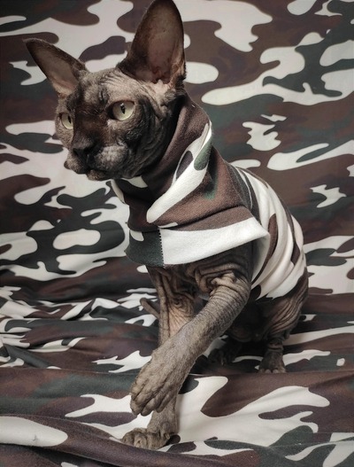 Arctic Tundra Camo - Yeezus