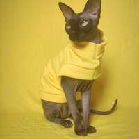 Sunshine - Yeezus - Thumbnail 1