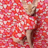 Hearts A Flutter - Thumbnail 1