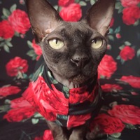 Eternal Roses - Sleepwear - Thumbnail 1