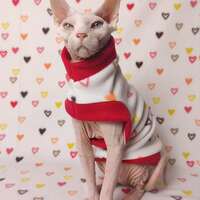 Tiny Hearts - Thumbnail 1