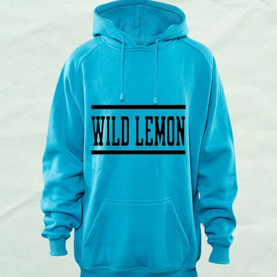 Sophomore aquafresh hoodie