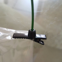 pair of sprout hair clips!  - Thumbnail 2