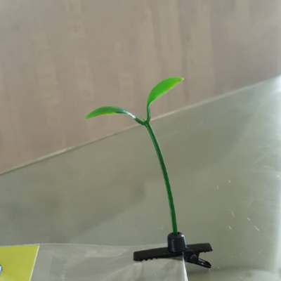 Pair of sprout hair clips! 