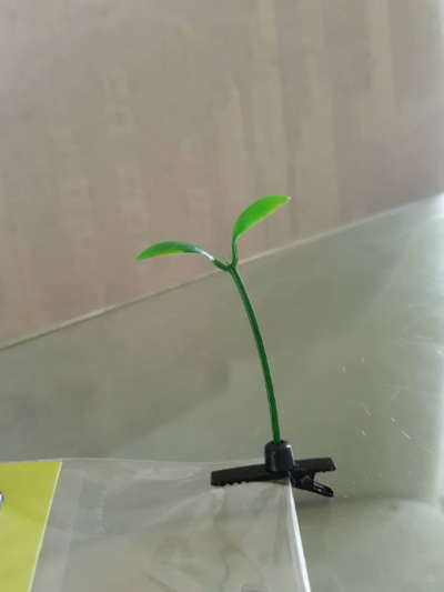 pair of sprout hair clips! 