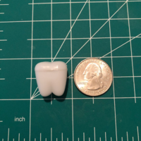 teeth container earrings! - Thumbnail 4