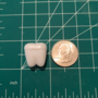 teeth container earrings!-4