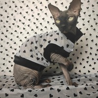 Heart Felt Lace - Thumbnail 1