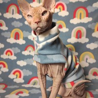 In Rainbows - Thumbnail 2