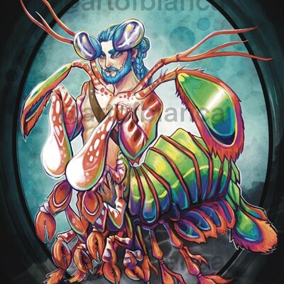 Mantis shrimp 8x10 print