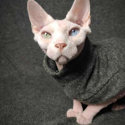 Grey-green mockneck sweaterknit