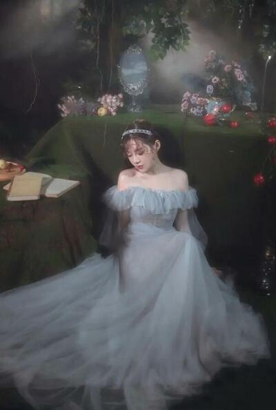 Off the Shoulder Vintage Grey Tulle Prom Evening Dresses