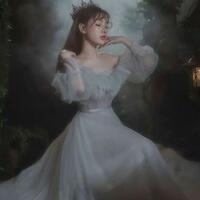 Off the Shoulder Vintage Grey Tulle Prom Evening Dresses - Thumbnail 1