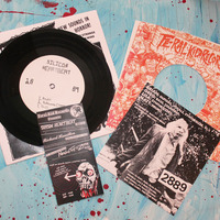 SILICON HEARTBEAT - '2889' EP - Thumbnail 2