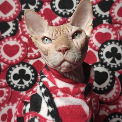 When the chips are down