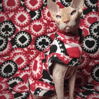 When The Chips Are Down - Thumbnail 2