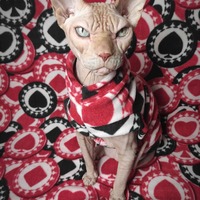 When The Chips Are Down - Thumbnail 1