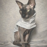 Gold Digger (Grey) - Thumbnail 1