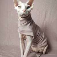 Mauvelous Yeezus - Thumbnail 1