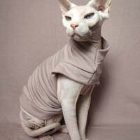 Mauvelous Yeezus - Thumbnail 2