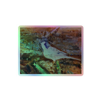 Holographic stickers - Wagtail - Thumbnail 1