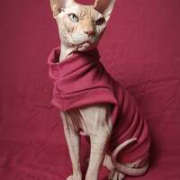 Brick Yeezus - Thumbnail 1