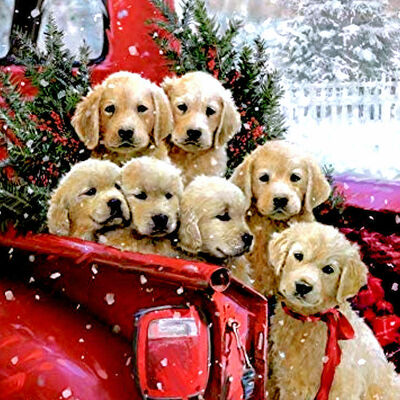 Christmas puppies cross stitch pattern