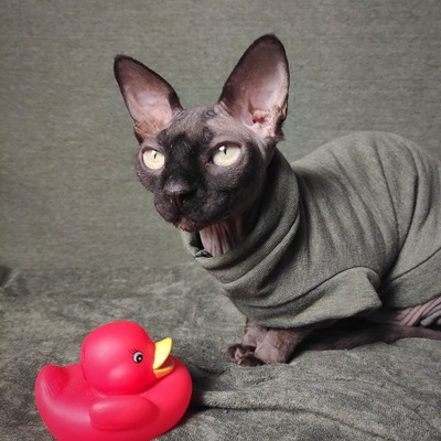 Sage - bathwear - Thumbnail 1