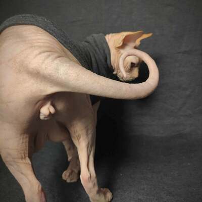 Dark grey heather yeezus - Thumbnail 4