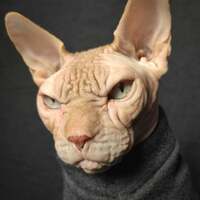 Dark Grey Heather Yeezus - Thumbnail 1