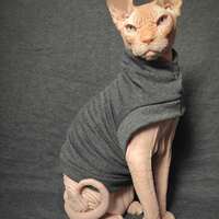 Dark Grey Heather Yeezus - Thumbnail 2